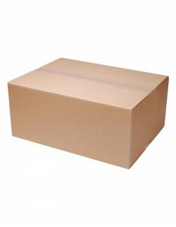 Kartoninė dėžutė 450x200x150mm (M dydis)