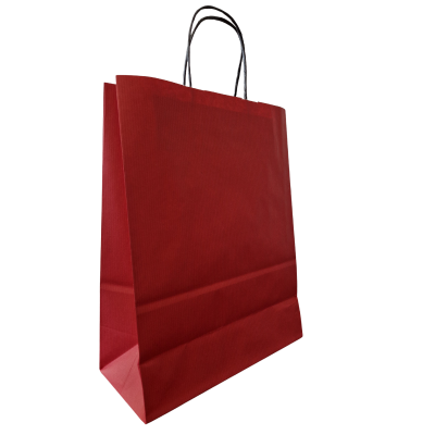 Colored Paper Bags 240x110x310 mm with Twisted Black Handles