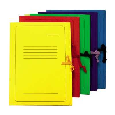 SMLT Cardboard Folder with Ties, A4, Blue | Professional Archiving